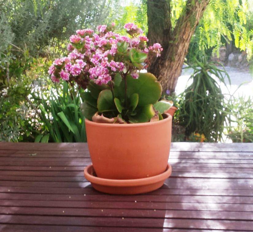 Casa con encanto en Alájar Esterno foto